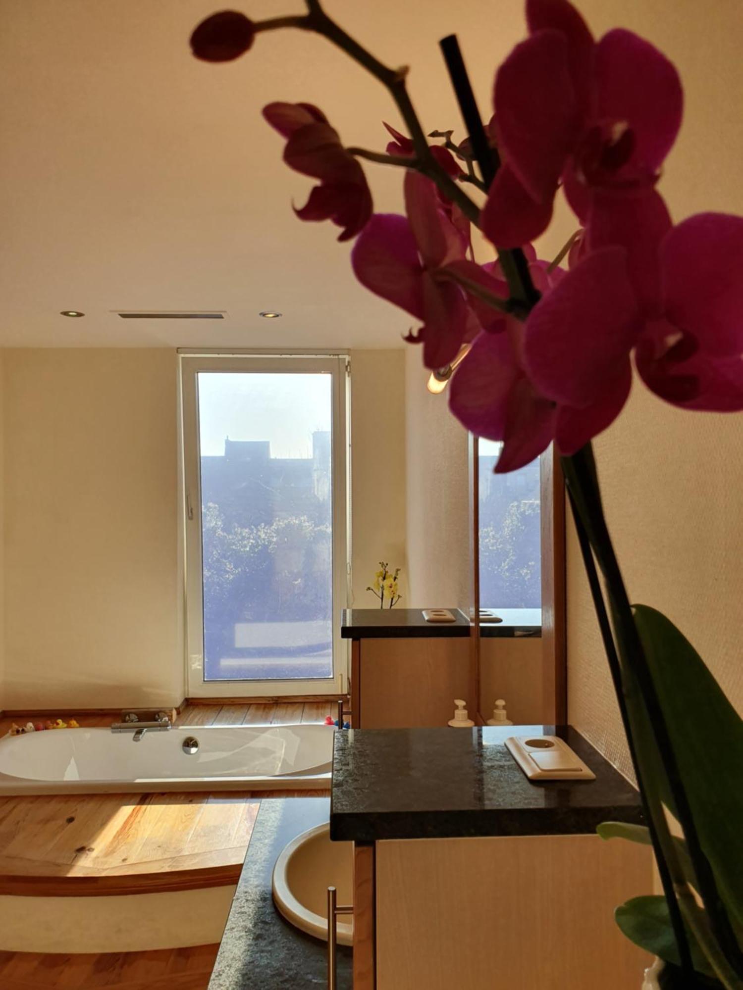 Huize La Passion Vacationhouse 10 Min Walk From The Sea Villa Middelkerke Eksteriør billede